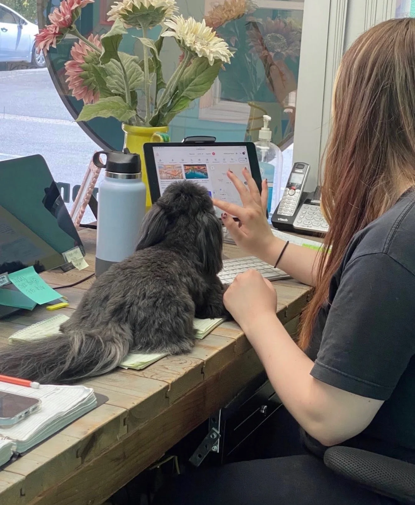 A furry visitor keeping a staff member company at the shop counter