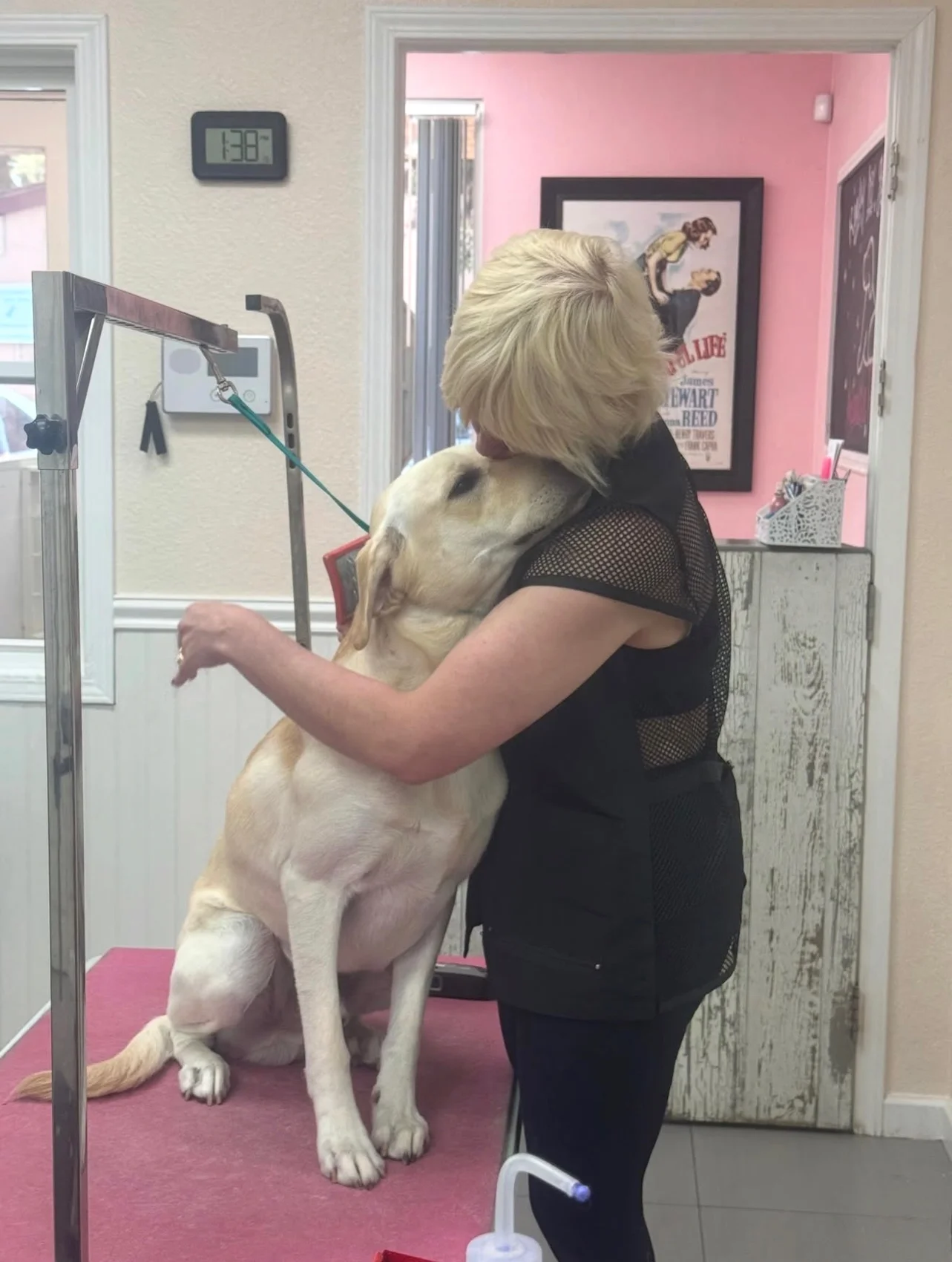 A large light-colored dog leaning into a groomer for a cuddle